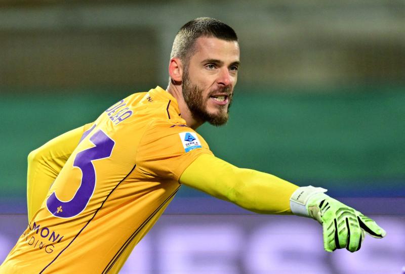 Fiorentina anh 1