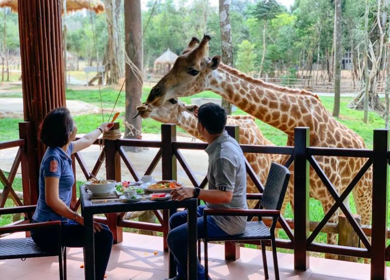 Vinpearl Safari Phú Quốc ảnh 3 Vinpearl Safari Phu Quoc anh 3