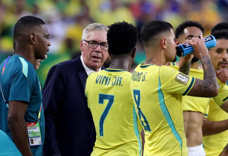 world cup,  brazil,  nhat ban anh 3