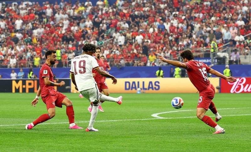 world cup,  bo dao nha,  cristiano ronaldo anh 4