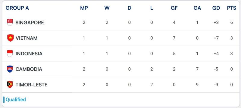 Kim Việt Nam ASEAN Cup ảnh 3