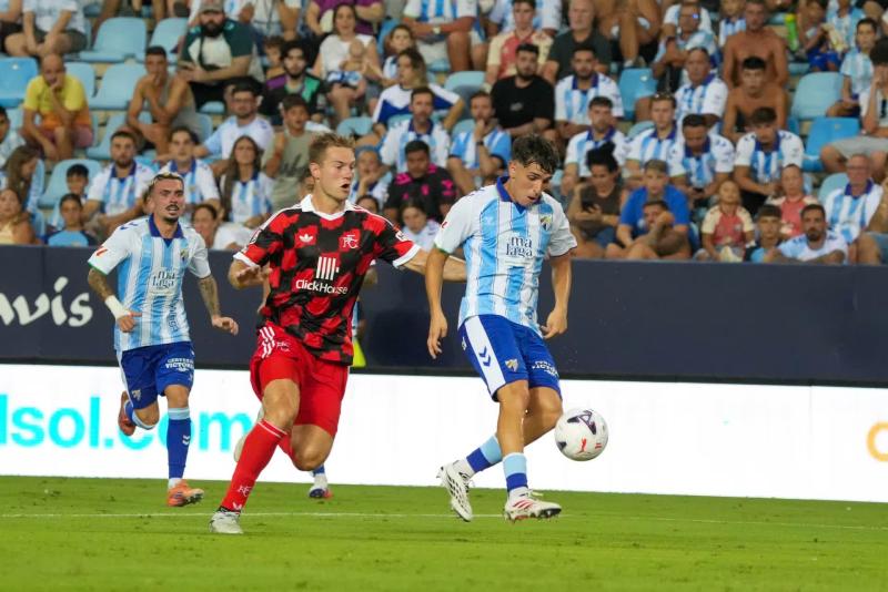 Fulham ảnh 2 Fulham ảnh 2