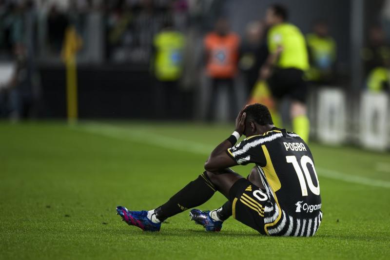 Pogba ảnh 1