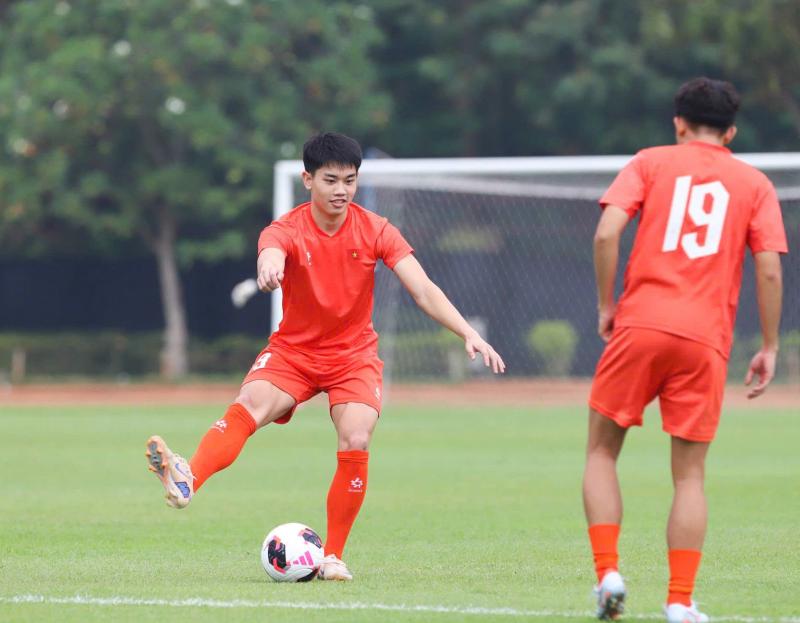 Việt Nam FIFA ASEAN Cup ảnh 3