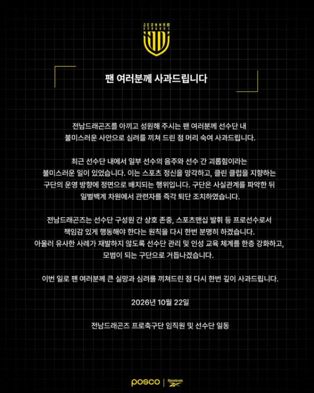 hàn quốc, k-league 2, jeonnam dragons ảnh 1 hàn quốc, k-league 2, jeonnam dragons ảnh 1