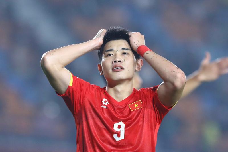Việt Nam ảnh 1